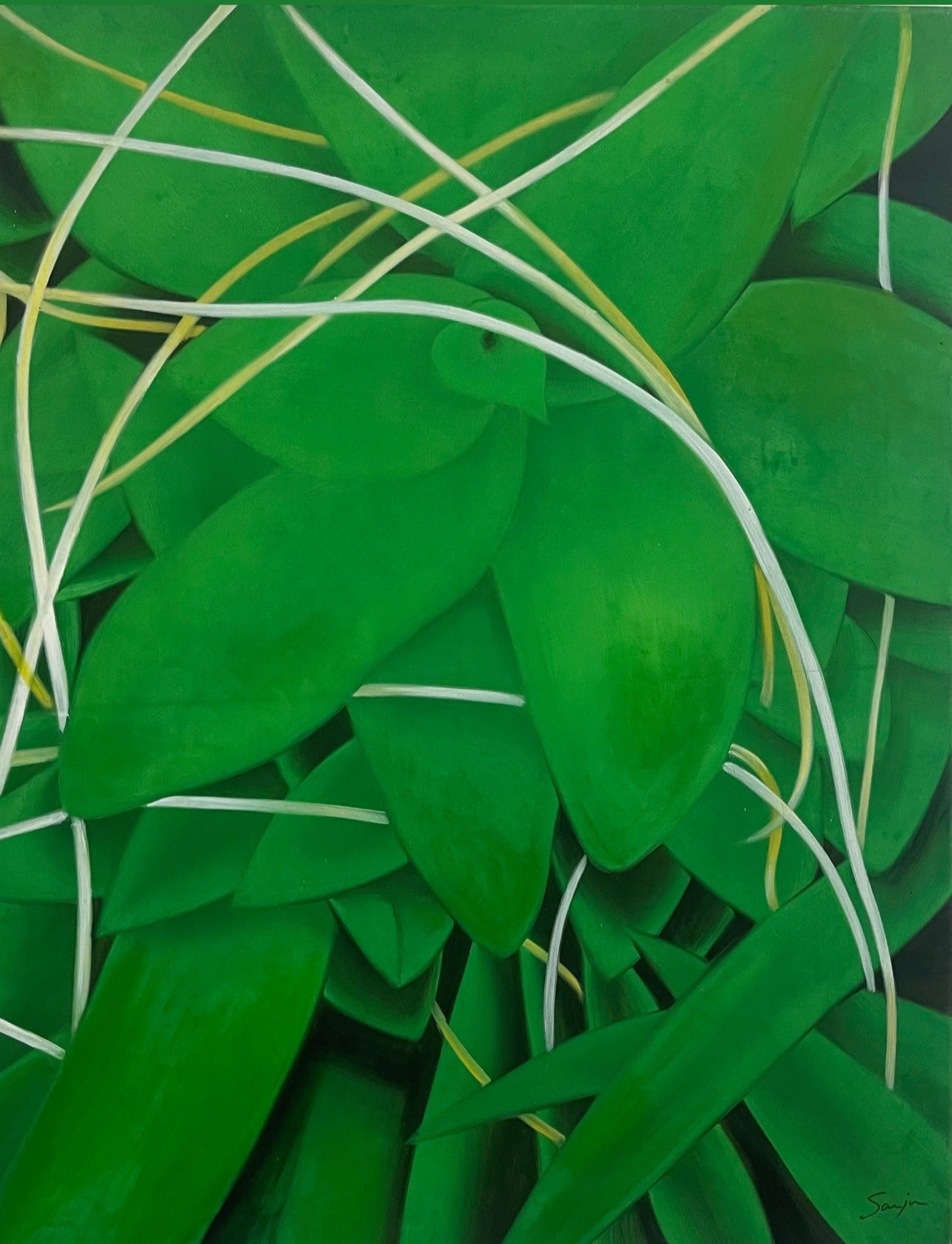 CAPAS DE NATURALEZA