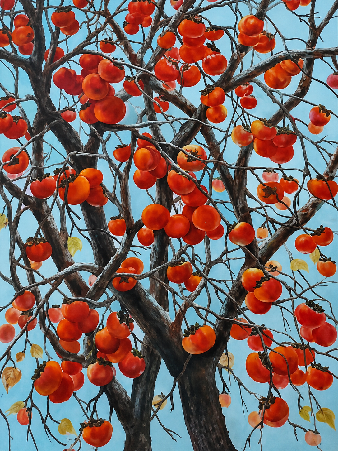 FRUTOS
