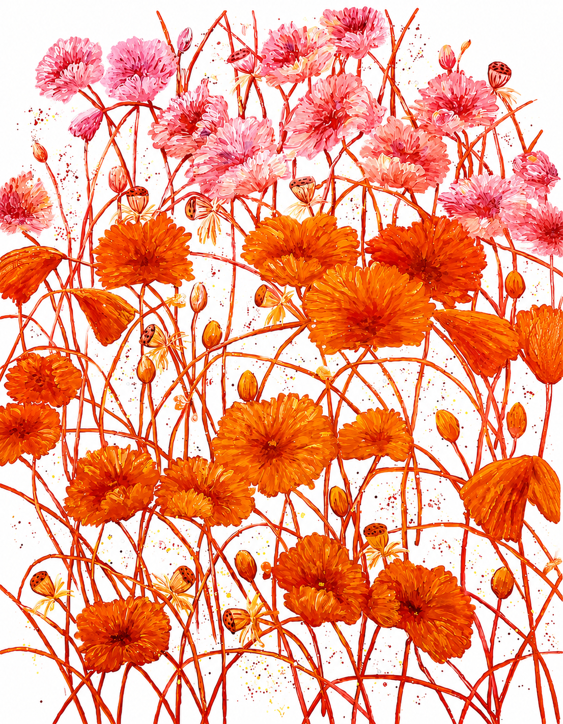 ENTRE PETALOS Y LUZ