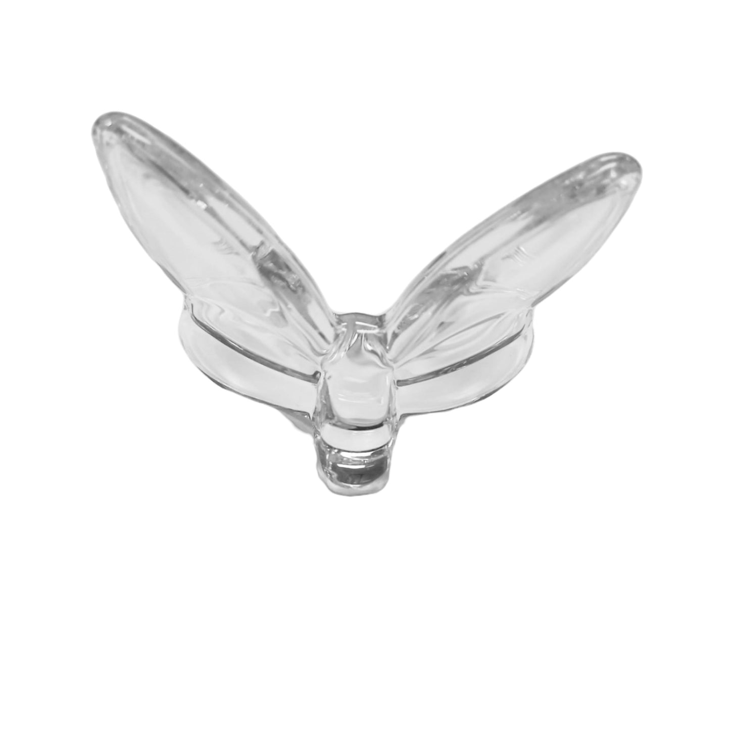 GROW IN LOVE BUTTERFLY - TRANSPARENT