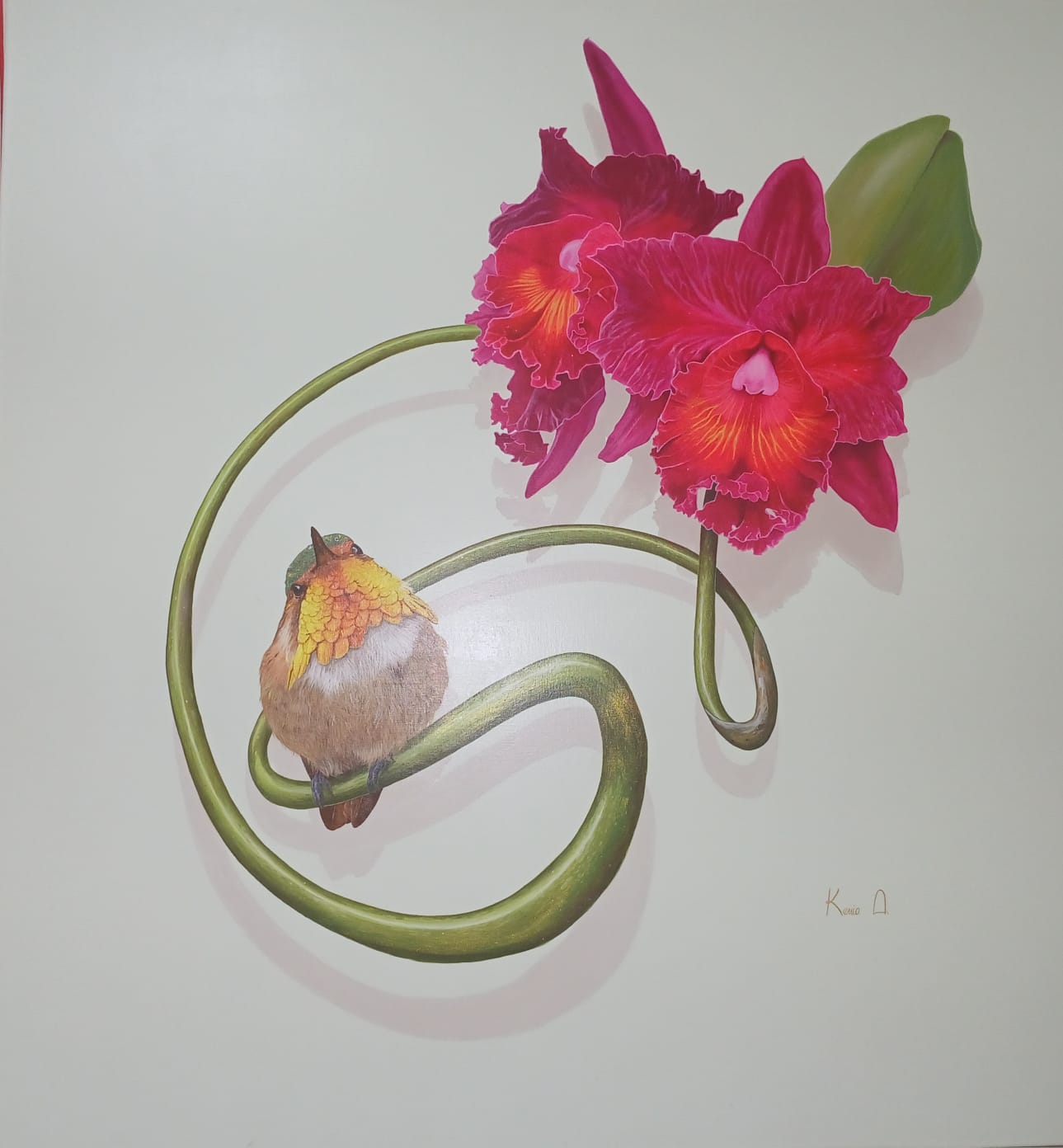 ESTRELLA SENTELLEANTE