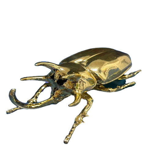 ESCARABAJO RINOCERONTE