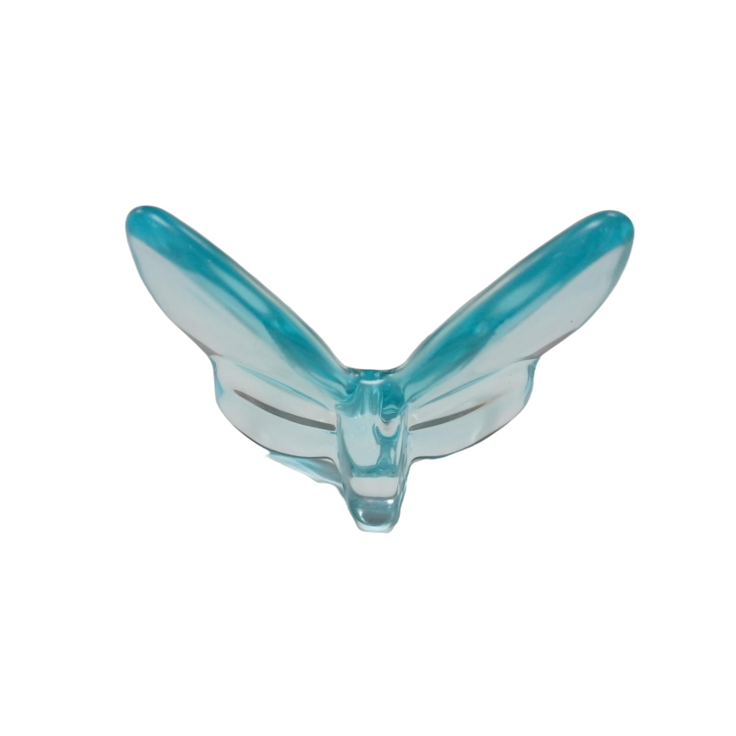 GROW IN LOVE BUTTERFLY - SKY BLUE