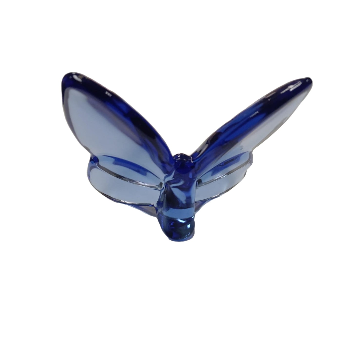 GROW IN LOVE BUTTERFLY - BLUE
