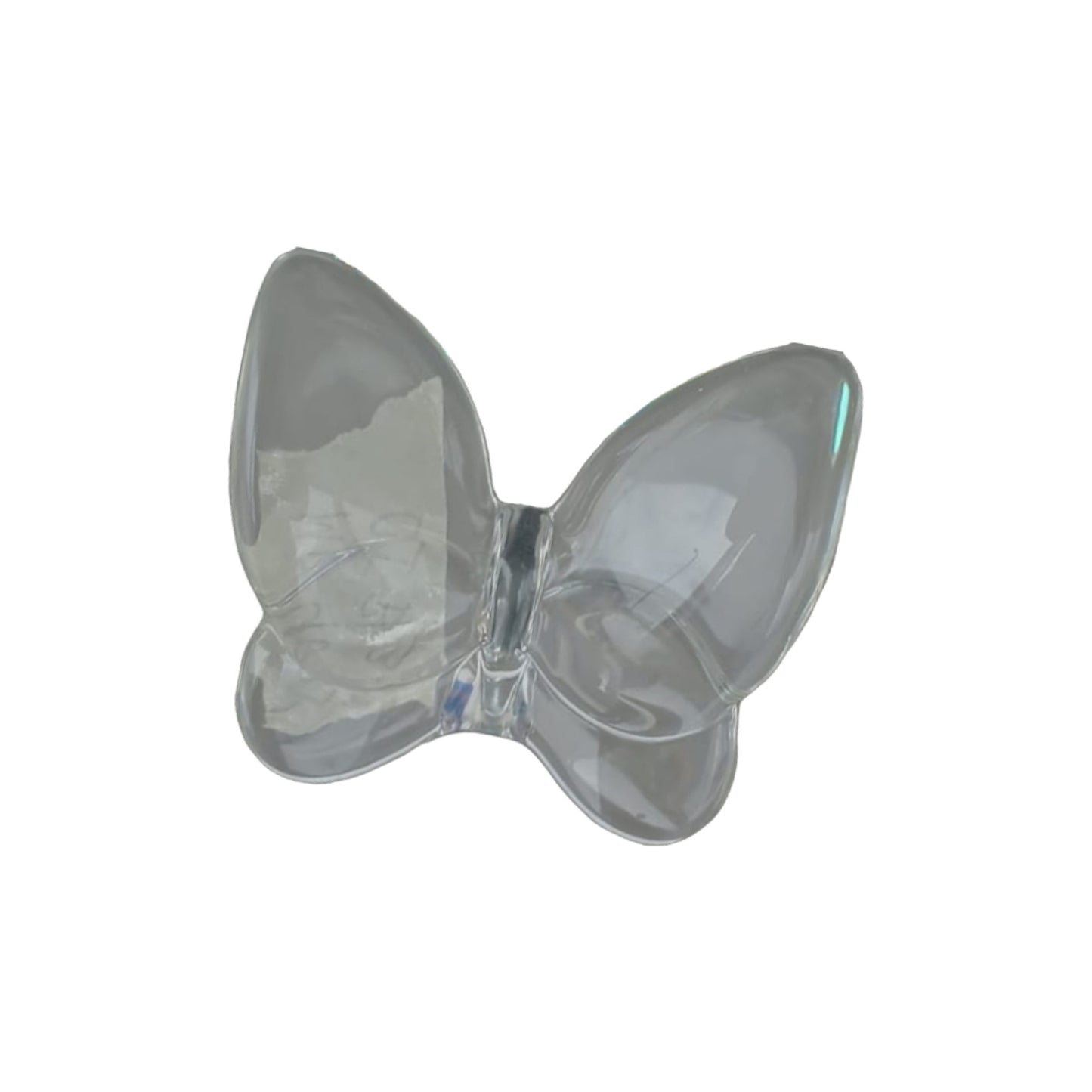 GROW IN LOVE BUTTERFLY - TRANSPARENT