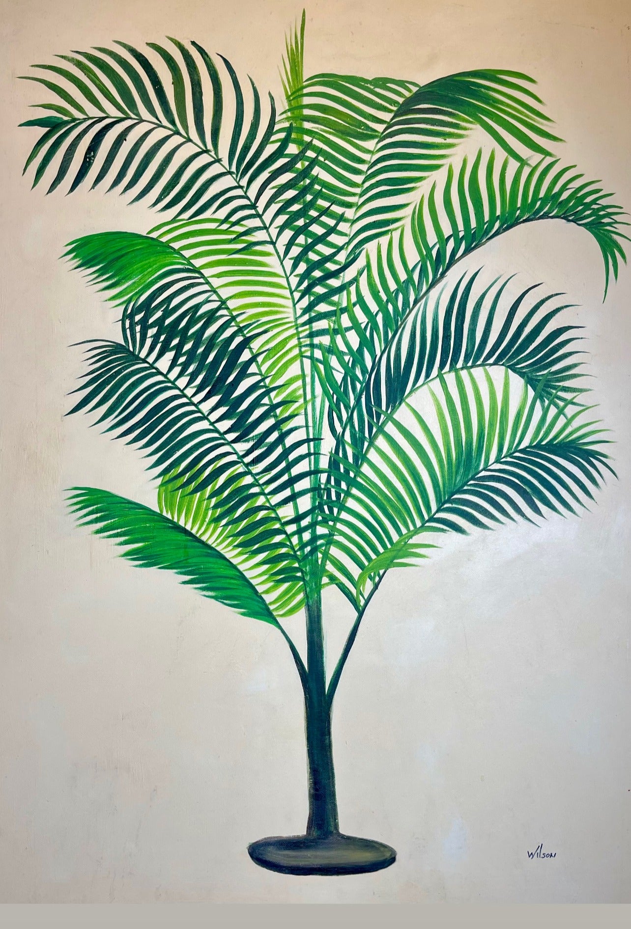PALMERA