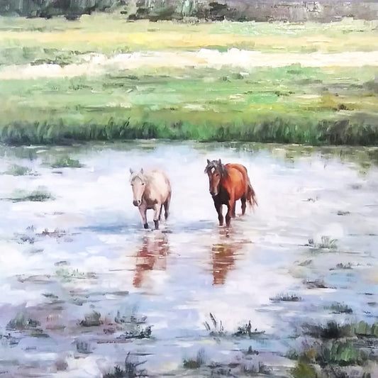 CRUCE DE LOS CABALLOS