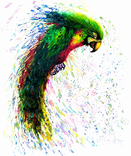 LORO: EXPLOSION DE COLOR