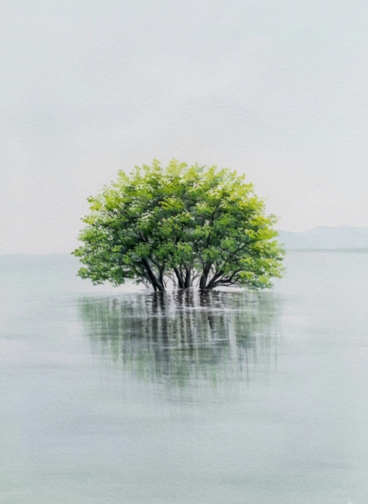 ARBOL DE AGUA