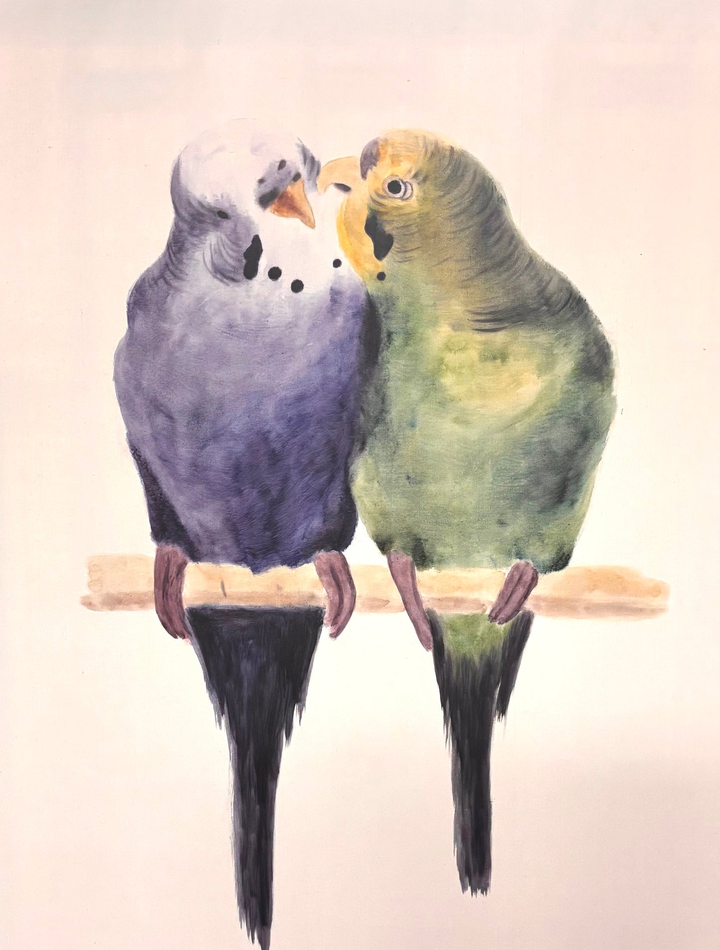 DULCES AVES