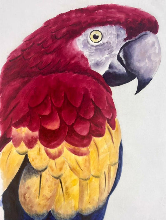 GUACAMAYA ROJA