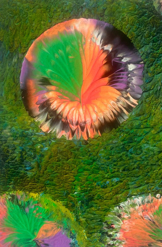 LILY 110