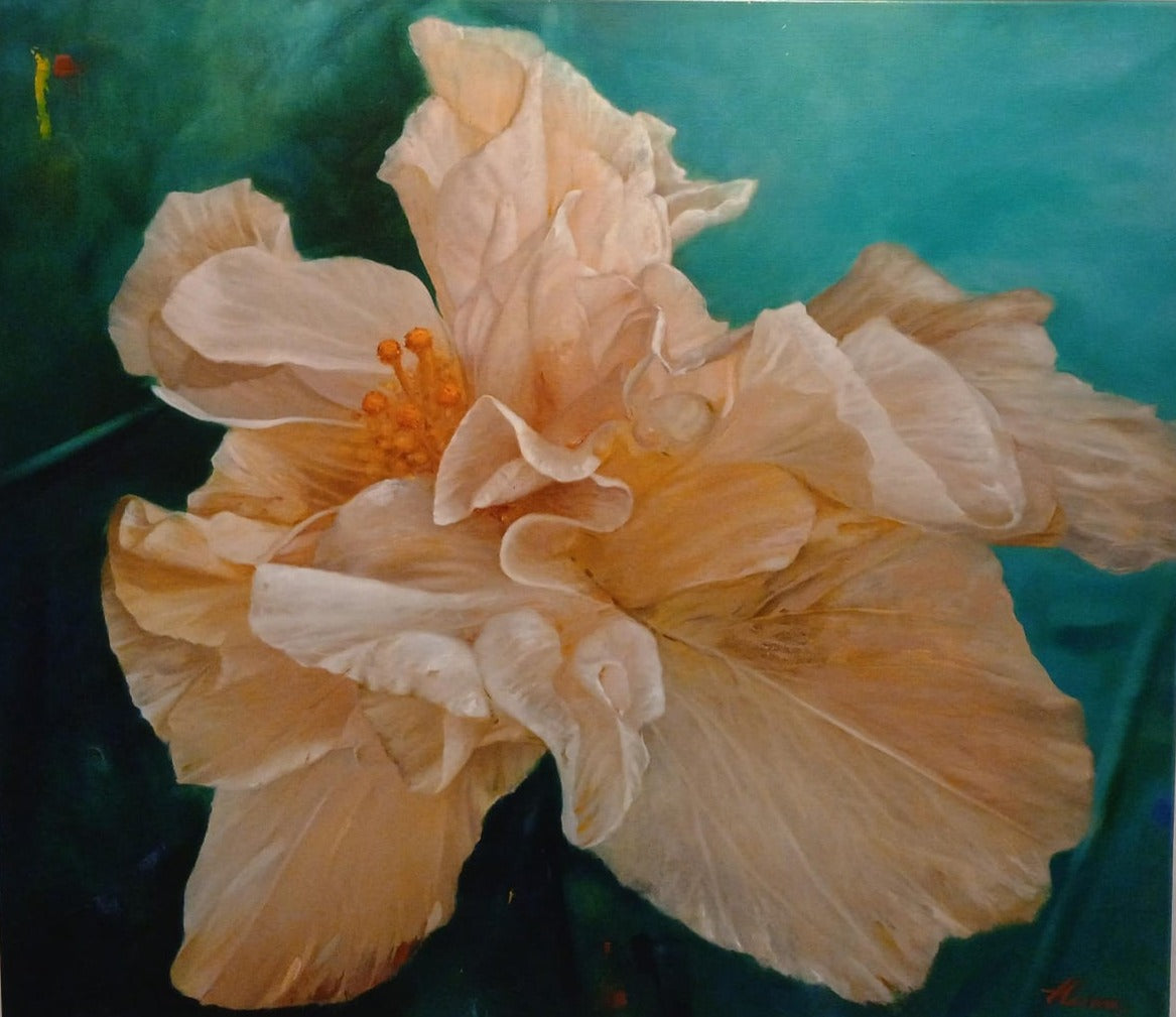 HIBISCUS