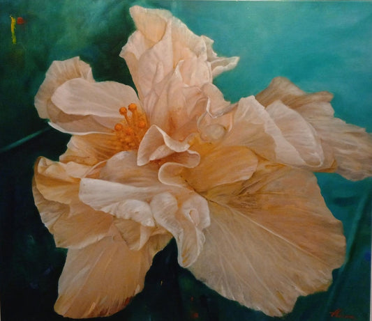 HIBISCUS