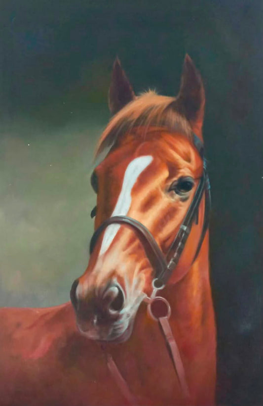 CABALLO CHOCOLATE
