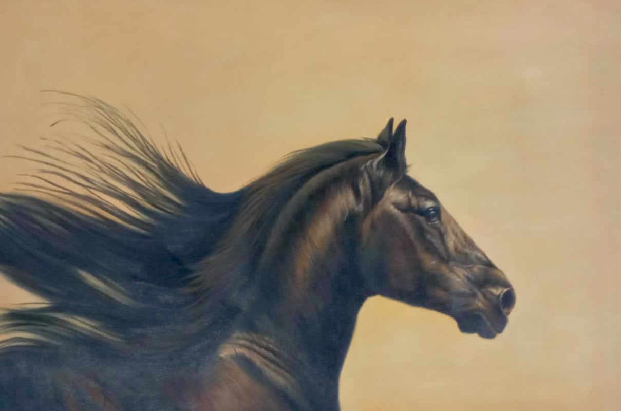 CABALLO