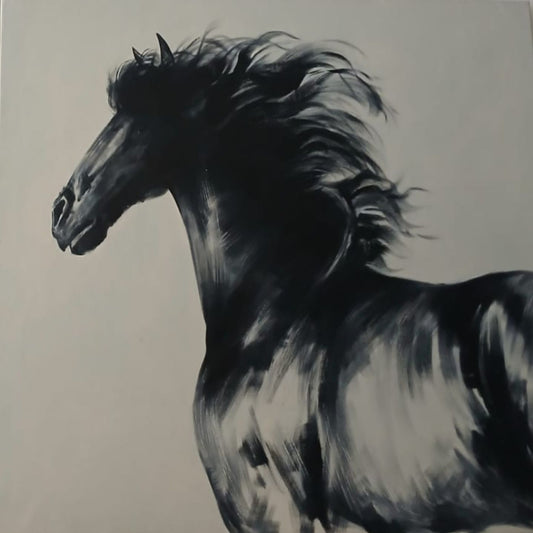 CABALLO NEGRO
