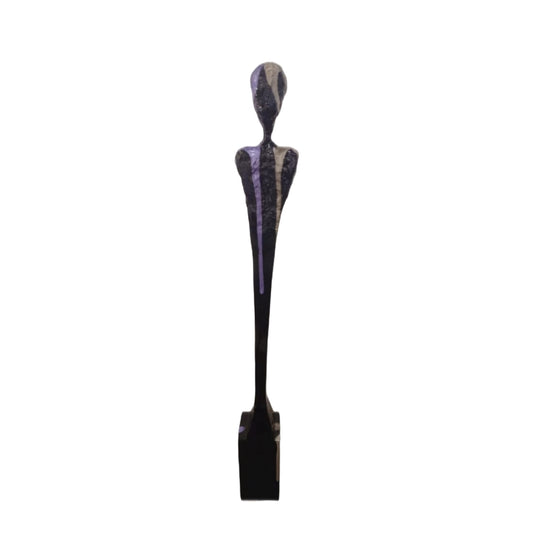 VIGIA NEGRO Y MORADO